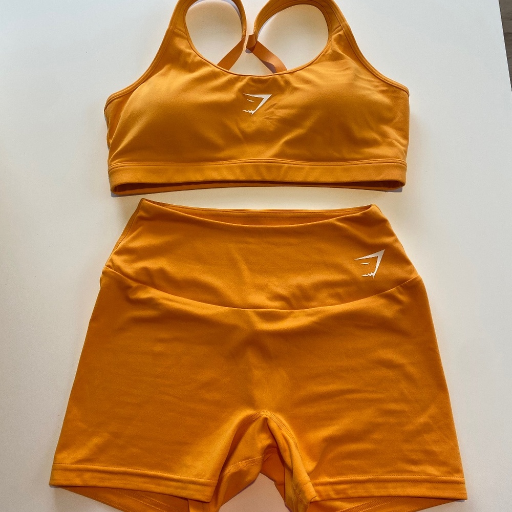Gym shark set